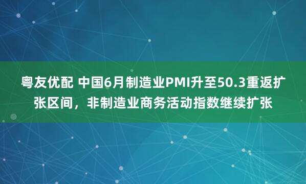 粤友优配 中国6月制造业PMI升至50.3重返扩张区间，非制造业商务活动指数继续扩张